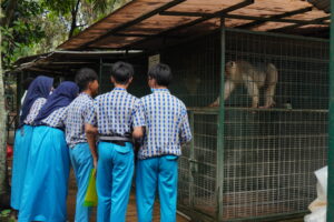 Anak-anak fokus mengamati satwa di Agrowisata Sidomuncul